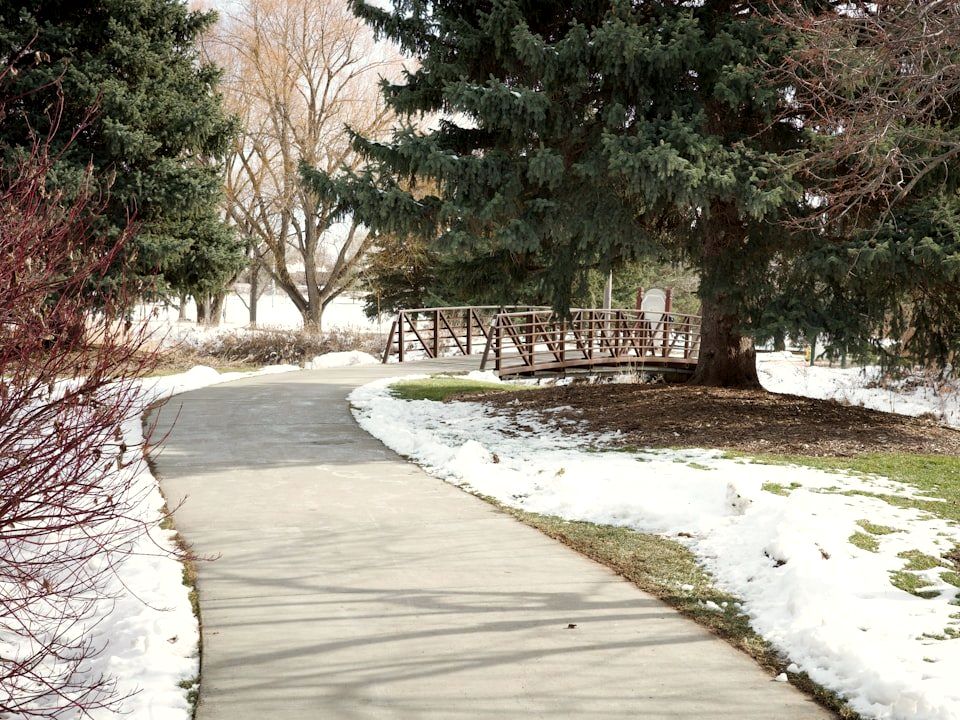 Concrete walkway with snow along both sides